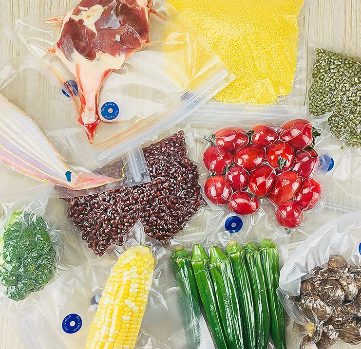Handheld vacuum sealer detail