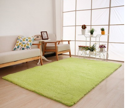 Plush area rug for living room